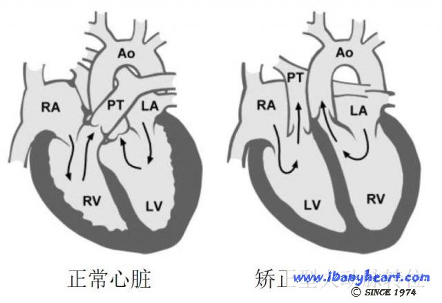 b3b94b555118777af47be7529f422cdc_640x480.jpg