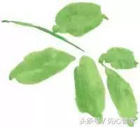 胎儿先天性心脏病，去还是留？