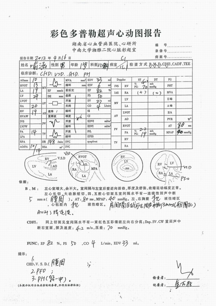 彩超结果1.jpg