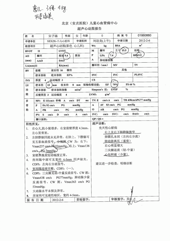 彩超报告.gif