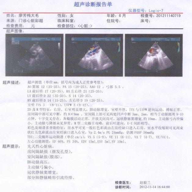 报告单