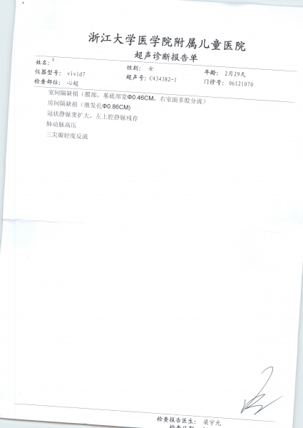 心超报告