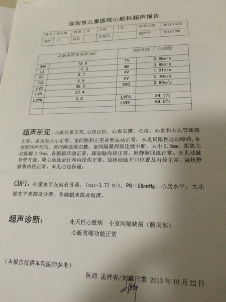2013年检查报告