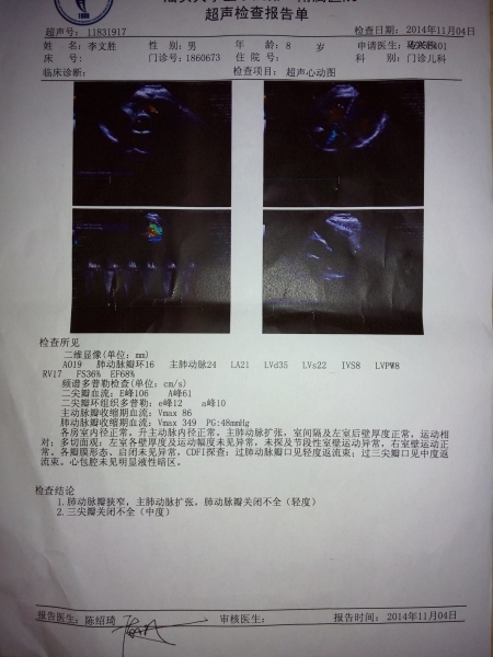 心超报告