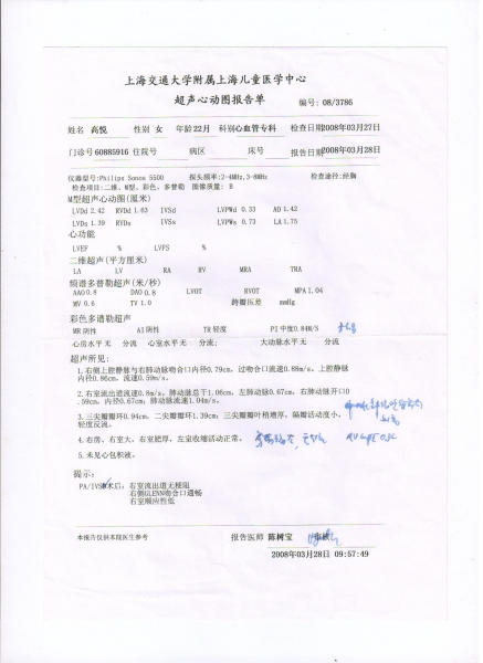 超声报告2008.3.jpg