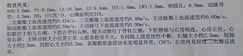 彩超描述